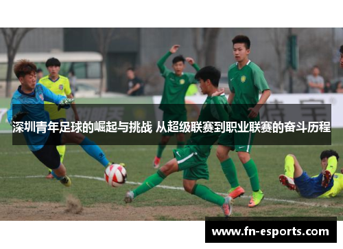 深圳青年足球的崛起与挑战 从超级联赛到职业联赛的奋斗历程