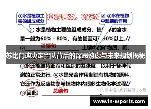 苏比门迪决定留队背后的深思熟虑与未来规划揭秘