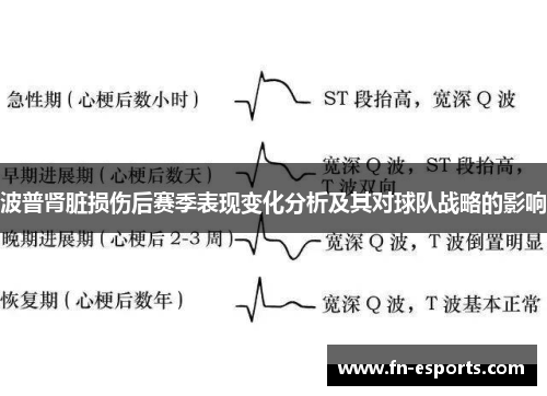 波普肾脏损伤后赛季表现变化分析及其对球队战略的影响