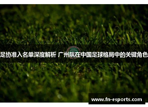 足协准入名单深度解析 广州队在中国足球格局中的关键角色