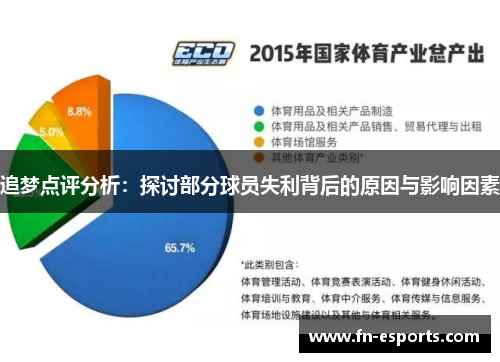追梦点评分析：探讨部分球员失利背后的原因与影响因素
